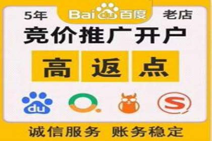 百度竞价运营策略：成功案例解析